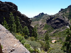 Gran Canaria - Roque Nublo & Surroundings in the Spring