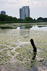 Day 196: A High Park moment