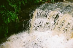 Balch Creek