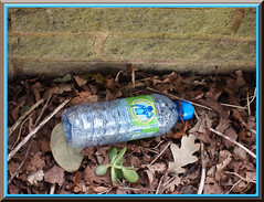 04 - Bottled Water