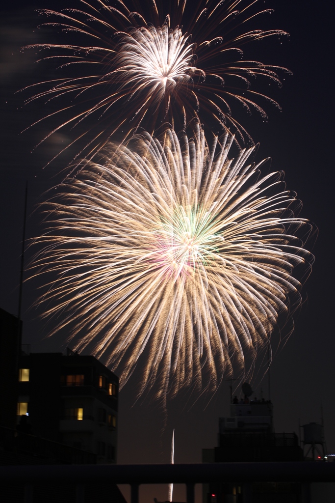 A Japan photo No.256:Sumidagawa Fireworks Festival
