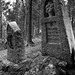 Tombes de soldats allemands de la guerre 14-18 • <a style="font-size:0.8em;" href="http://www.flickr.com/photos/53131727@N04/4911378130/" target="_blank">View on Flickr</a>
