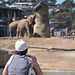 San Diego - Air and elephants
