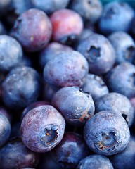 blueberry super food