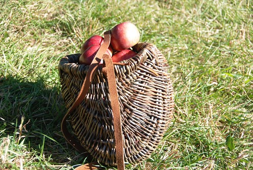 willow forest basket