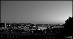 [26/365] Massilia By Night