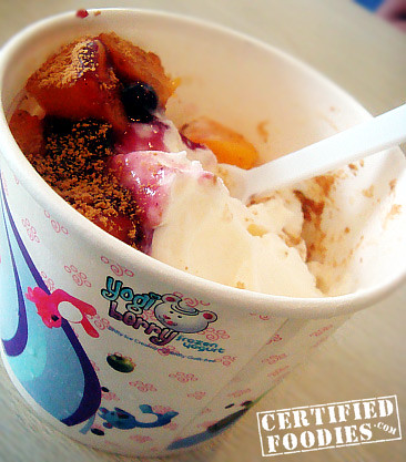 Our tub of Yogiberry Frozen Yogurt - CertifiedFoodies.com