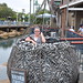 Disneyland day 3 - Marina is a record catch