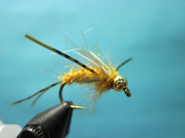 Delectable Prince Golden Stone Fly Tying Video | The Caddis Fly: Oregon ...