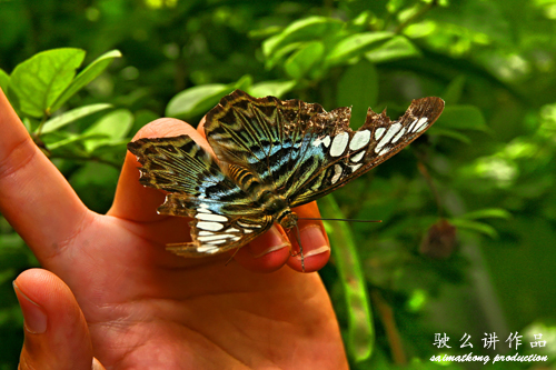 Fortezen @ Penang Butterfly Farm