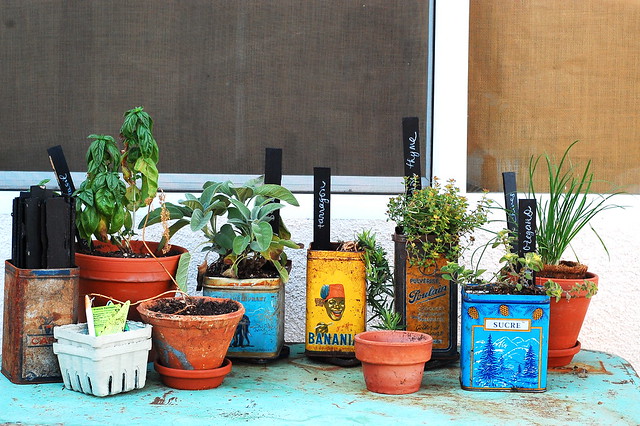 herb container garden