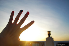 Day 274: Touch of light