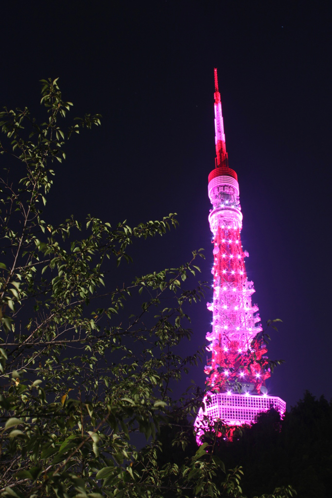 Pink Tokyo Tower 2010