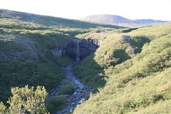 Svartifoss Cascatas Islândia