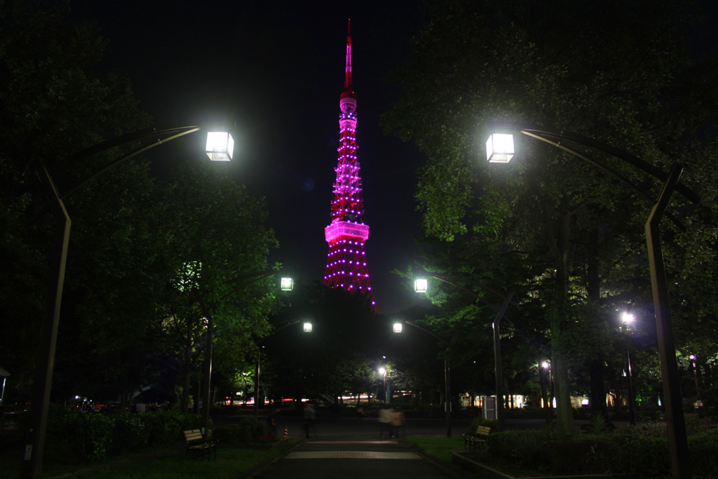 Pink Tokyo Tower 2010