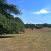 View across the lawns at Bibury Court Hotel
