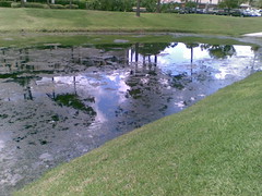 27.07.2010