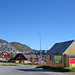 Qaqortoq, Canada Goose, Greenland