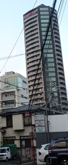 東京で一番高いタワマンは六本木のここだけ...