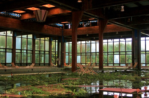 Plants and puddles in the indoor pool