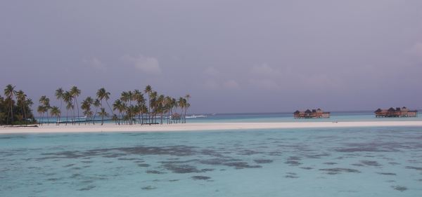 unbelievable-waters-beach-coconut-trees-water-villas-six-sense-resort