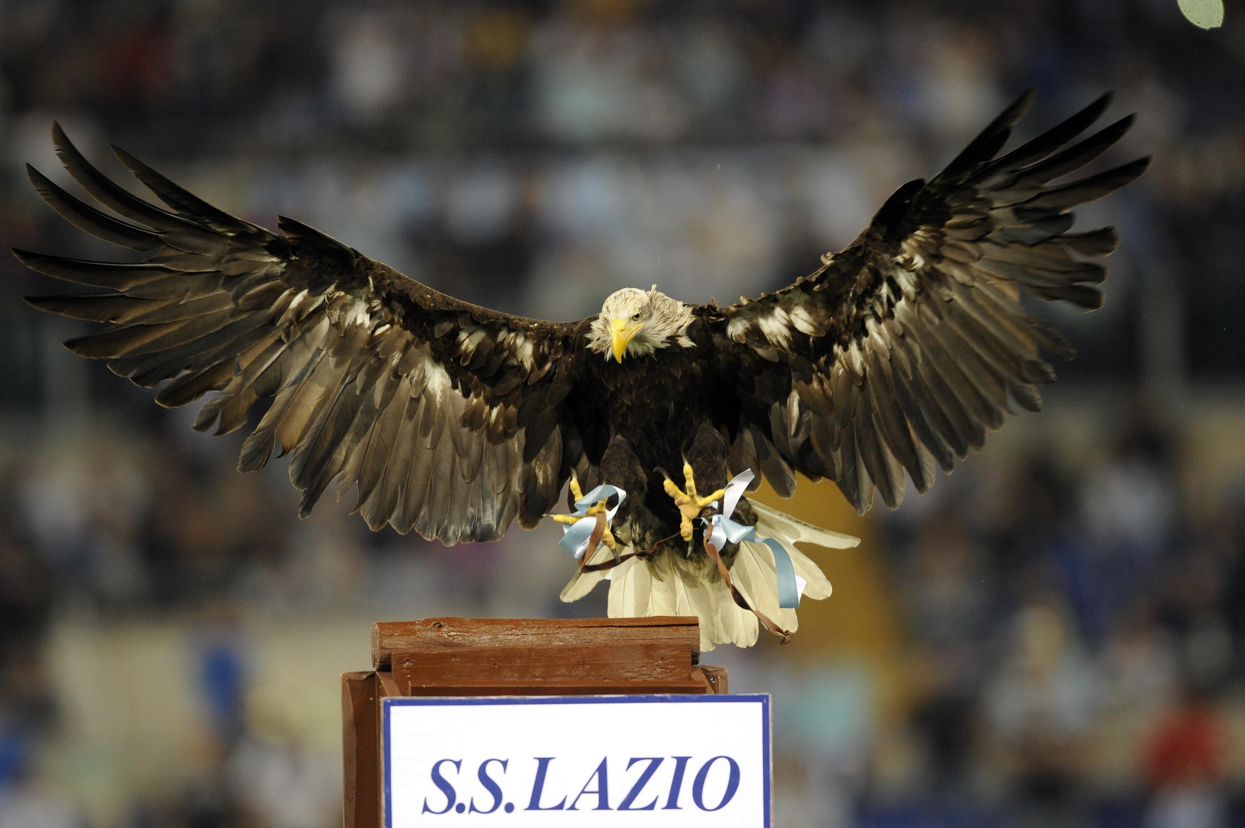 Ss Lazio Eagle / Lazio's mascot eagle Olympia, is seen ...