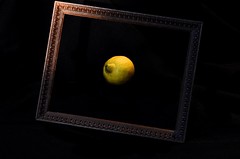 Anglų lietuvių žodynas. Žodis citron reiškia n paprastas citrinmedis ir jo vaisius lietuviškai.