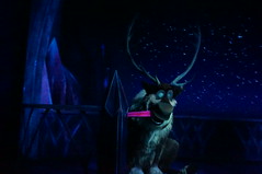 Epcot: Frozen Ever After - Sven • <a style="font-size:0.8em;" href="http://www.flickr.com/photos/28558260@N04/33955588323/" target="_blank">View on Flickr</a>