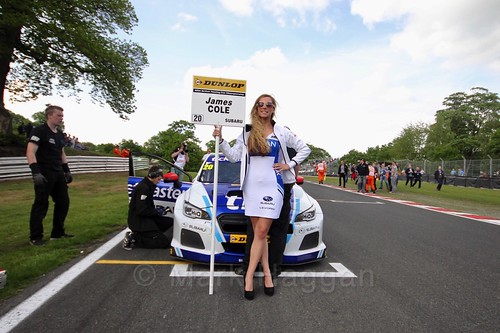 James Cole on the BTCC grid at Oulton Park, May 2017