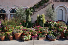 Lady and the Tramp Topiary • <a style="font-size:0.8em;" href="http://www.flickr.com/photos/28558260@N04/34431017580/" target="_blank">View on Flickr</a>