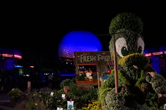 Donald Duck Topiary near Spaceship Earth • <a style="font-size:0.8em;" href="http://www.flickr.com/photos/28558260@N04/34431133610/" target="_blank">View on Flickr</a>