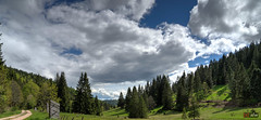 Wolkenmassen über dem Schwarzwald
