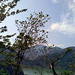 Kasol, Himachal Pradesh - thelatedcult.com