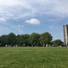 Cricket in London Fields