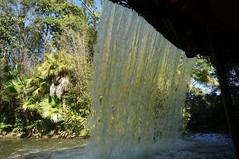 Walt Disney World: The Backside of Water • <a style="font-size:0.8em;" href="http://www.flickr.com/photos/28558260@N04/34750301105/" target="_blank">View on Flickr</a>