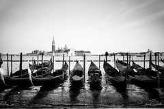 Gondolas in Venice.