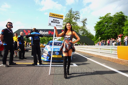 Aiden Moffat on the BTCC grid at Oulton Park, May 2017