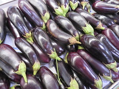 May 16: Eggplants