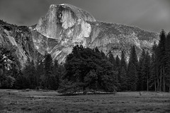Late Afternoon Sunlight Falling on Half Dome (Black & White)