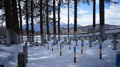 Cimitirul eroilor de la Tabla Butii