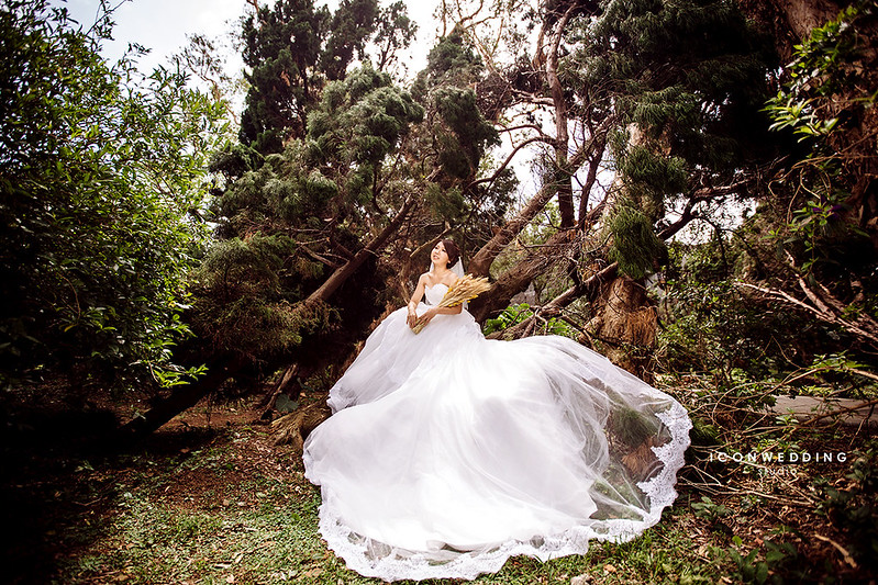 陽明山芒草原,擎天岡,婚紗照,拍婚紗,婚紗攝影