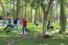 Clase de yoga solidaria • <a style="font-size:0.8em;" href="http://www.flickr.com/photos/145784091@N07/34493976452/" target="_blank">View on Flickr</a>