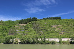 Der Rhein in Andernach