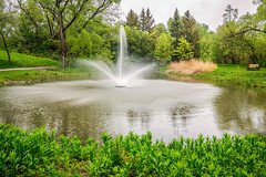 Day 141: Pond with fountain