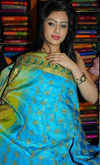 Indian Actress NIKESHA PATEL Hot Sexy Images Set-2 (34)