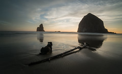 Haystack Rock