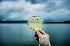 
			
					The hidden world of bacteria
				
		