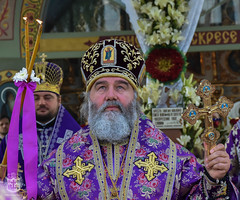 Cross Procession in honor of the Kalynivka Miracle / Крестный ход в память о Калиновском чуде (51) 08.07.2017
