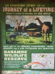 Harambe Wildlife Reserve Sign • <a style="font-size:0.8em;" href="http://www.flickr.com/photos/28558260@N04/35248494195/" target="_blank">View on Flickr</a>