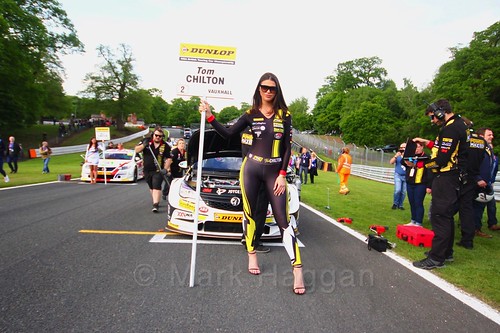 Tom Chilton on the BTCC grid at Oulton Park, May 2017